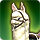 alpaca