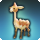 dhalmel calf