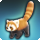 lesser panda