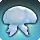 aurelia polyp