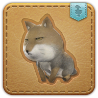 sand fox